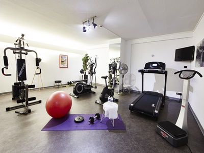 gym - hotel bw plus au cheval blanc mulhouse nord(g) - mulhouse, france