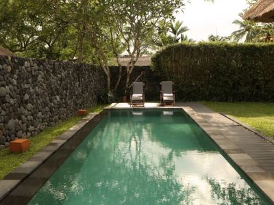 outdoor pool 2 - hotel alila ubud - bali island, indonesia