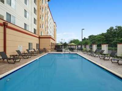 outdoor pool - hotel homewood suites by hilton tampa-brandon - brandon, florida, united states of america