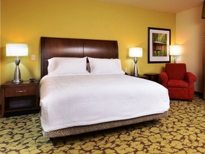 bedroom - hotel hilton garden inn greensboro airport - greensboro, north carolina, united states of america